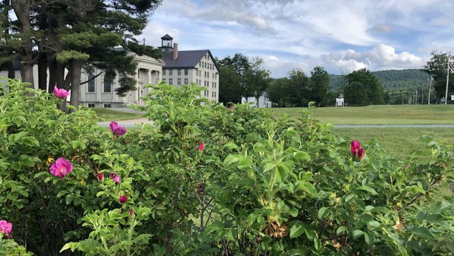 Weekly Shaker Herb Garden Tour
