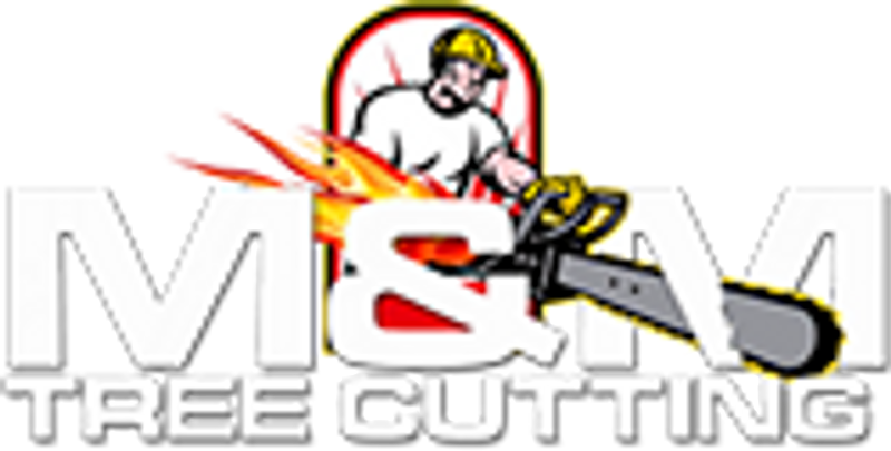 Tree Cutting and Removal at Discounted Prices