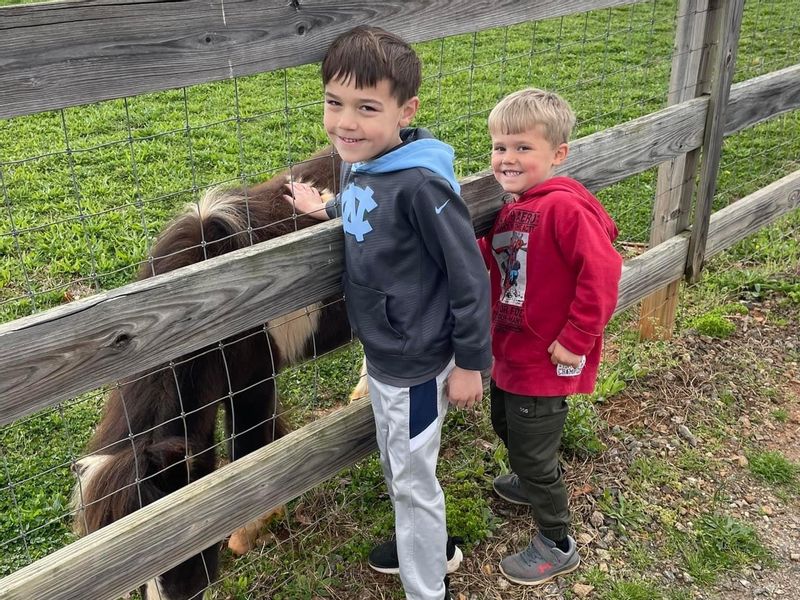 Visit Rescue Ranch