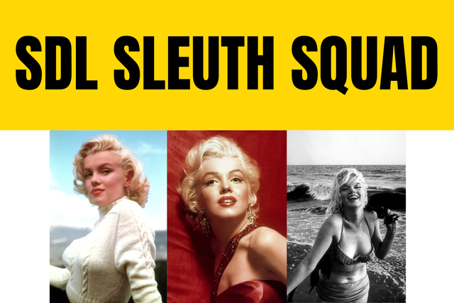 SDL Sleuth Squad