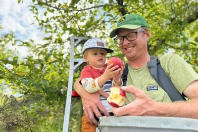 An adult holds a young child while apple picking at an orchard, smiling as the child examines a red apple among green leaves on a sunny day.
