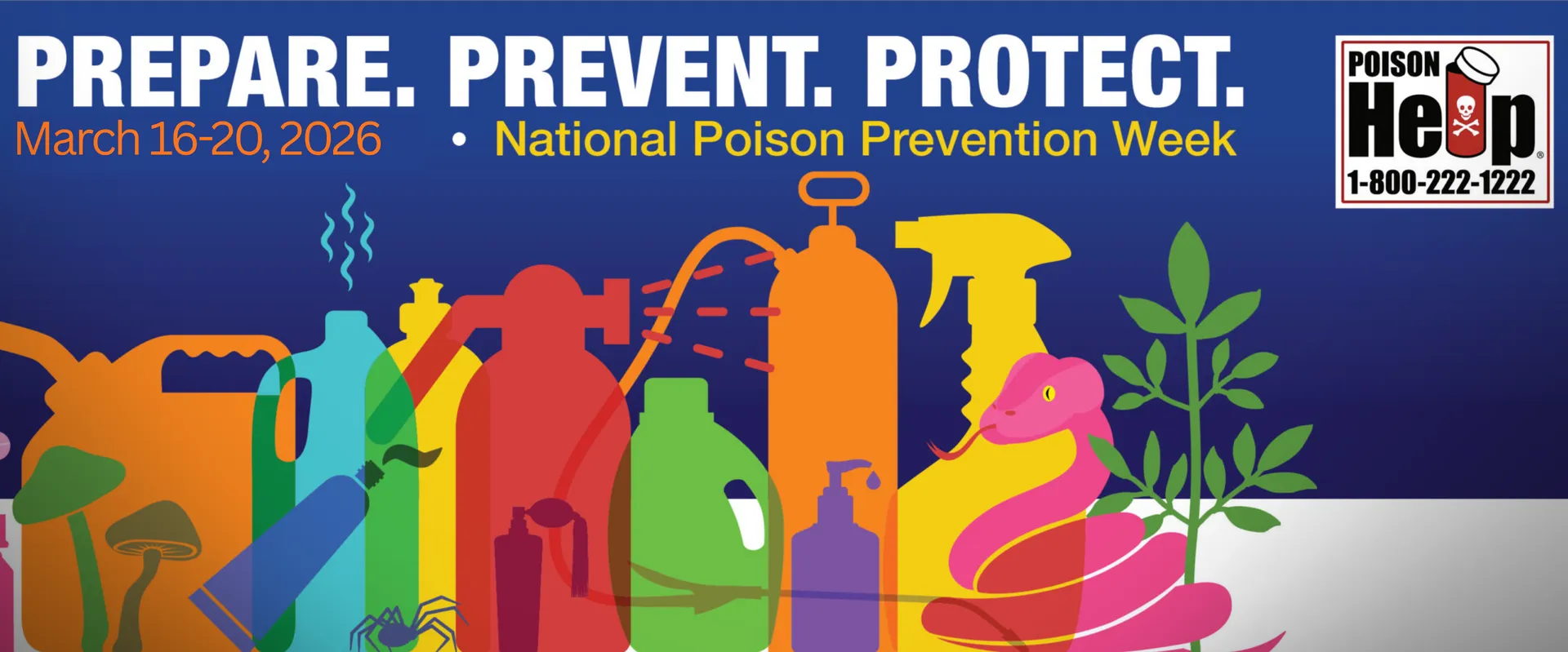 National Poison Prevention Week: Protecting Your Home from Hidden Hazards