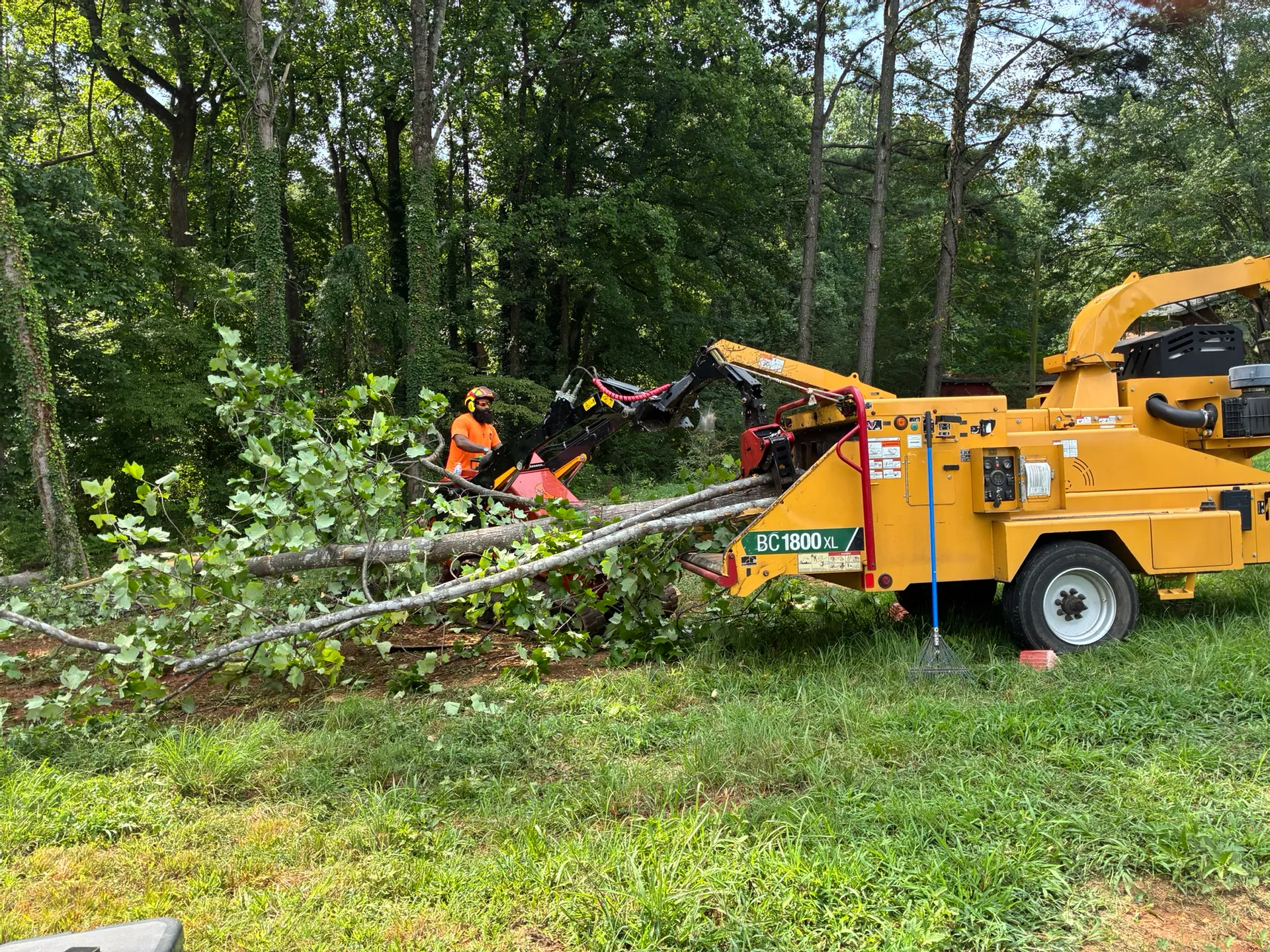 Tree Removal and Stump Grinding for Neighboring Statesville Homes