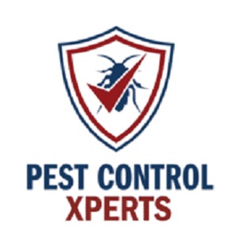 Redlands Pest Control Experts