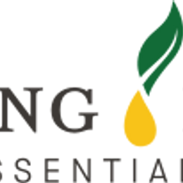 Young Living Essential Oils - Raveena Mahtani