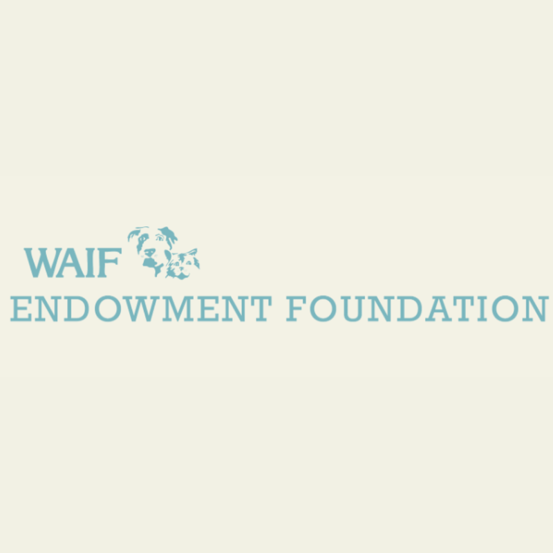 WAIF Endowment Foundation