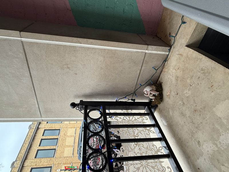 gnome houses hidden downtown
