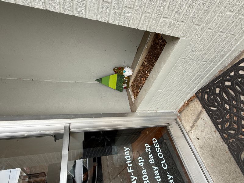 gnome house downtown