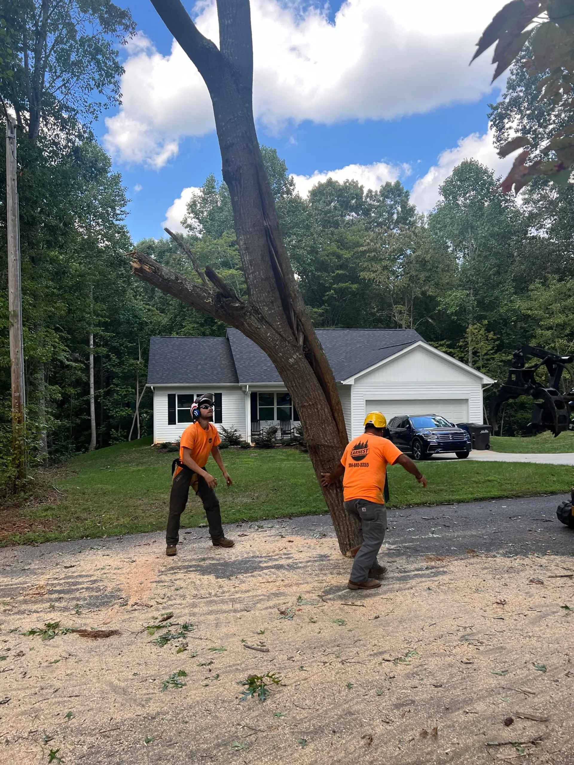 Earnest Tree Service: Expert Crane Removal for a Split Tree