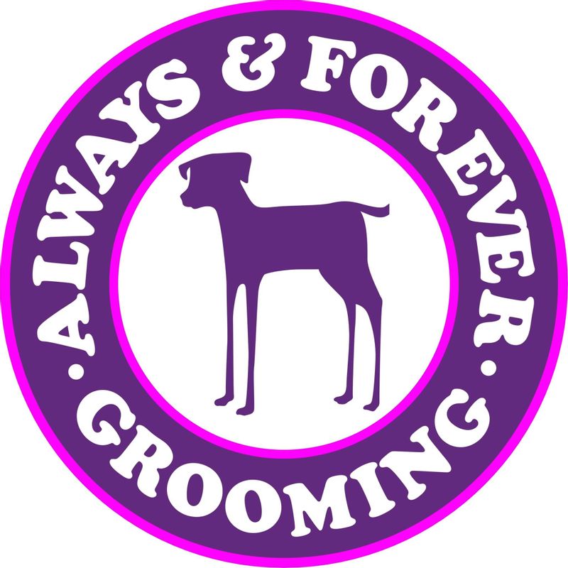 Always & Forever Grooming