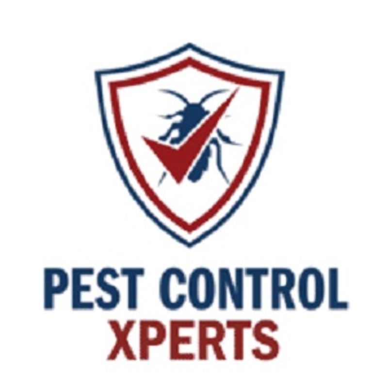Loma Linda Pest