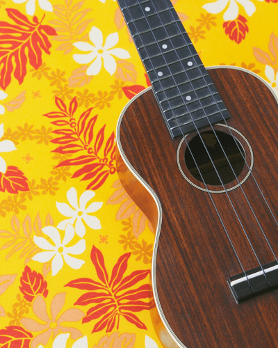 Group Ukulele Lessons