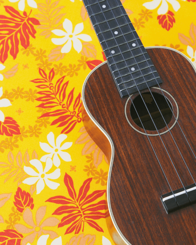 Group Ukulele Lessons
