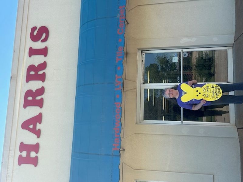Harris Carpets