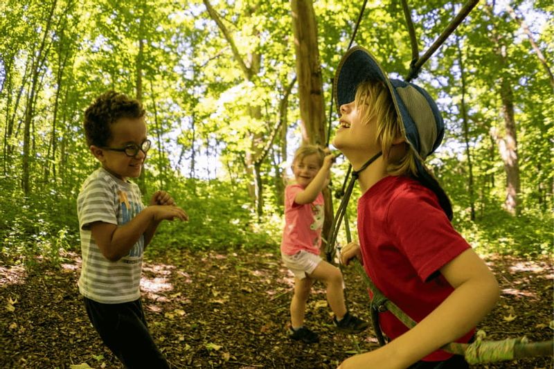 Three preschool-aged children laugh and play together in a sunlit forest, climbing and exploring with ropes and trees as part of an outdoor nature preschool experience.