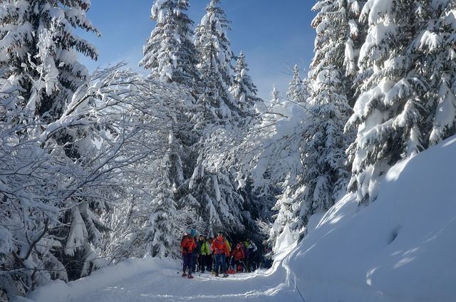 Group of people snowshoeing