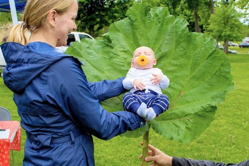 Baby posed in front of an oversized rhubarb leaf during Lanesboro’s Rhubarb Festival in Sylvan Park.
