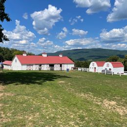 A Tennessee Guest Ranch | Local Connections™