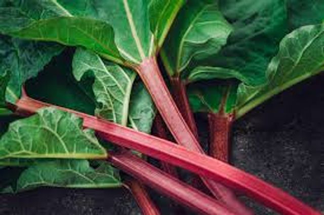 Rhubarb Fest with The Scoop