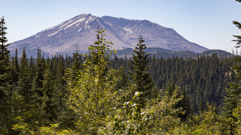 Bear Meadow