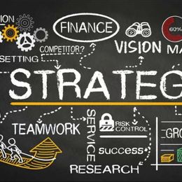 Cyber Savvy Chic Professional Services