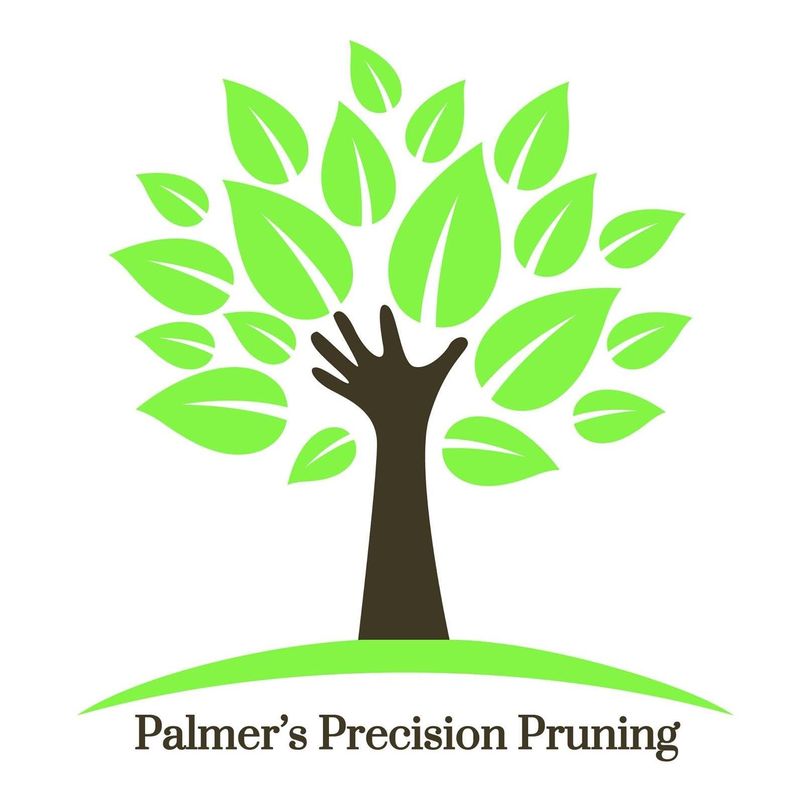 Palmer’s Precision Pruning LLC