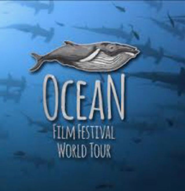 Ocean Film Festival