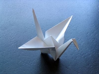 Peace Crane Project International Peace Day Celebration