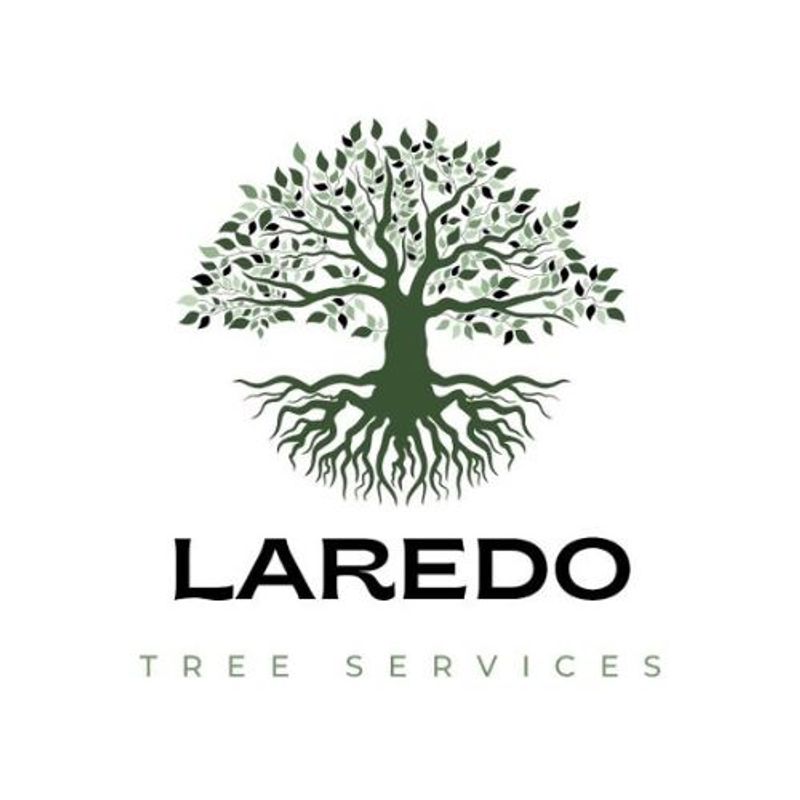 GoTime Laredo Tree Services