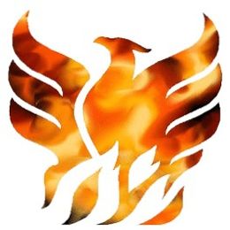 Phoenix Martial Arts