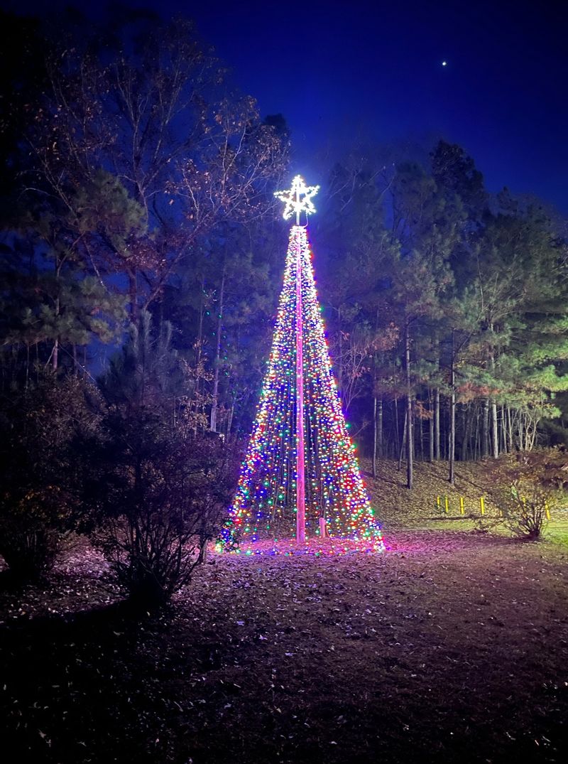 Christmas Tree display with lights and bright star at Wind Creek State Park