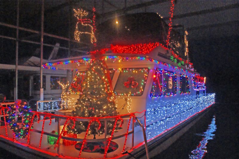 Boat decorated in Christmas lights and a Christmas tree for the boat parade at Joe Wheeler State Park