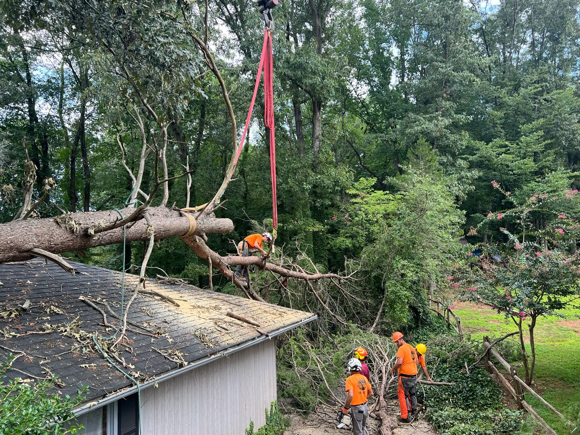 Trust Earnest Tree Service for Expert Tree Removal and Storm Damage Cleanup