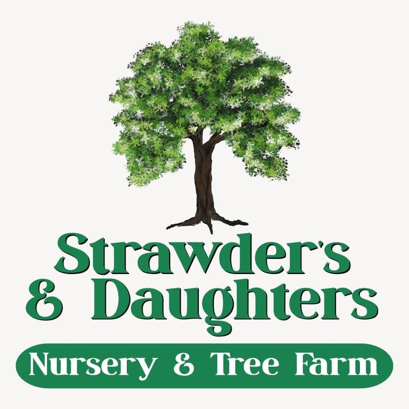 Strawder's & Daughters Nursery & Tree Farm
