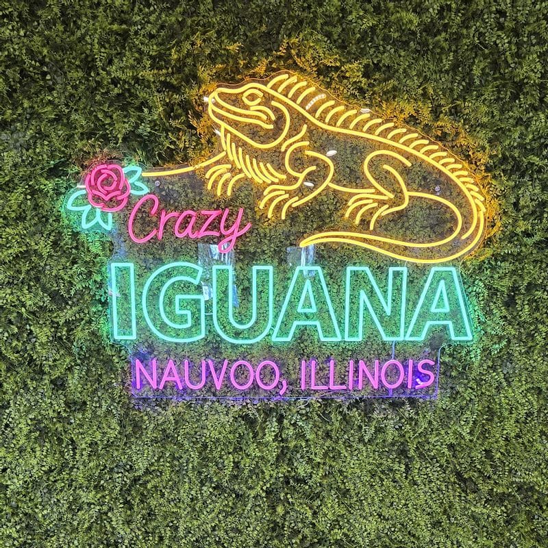 Crazy Iguana