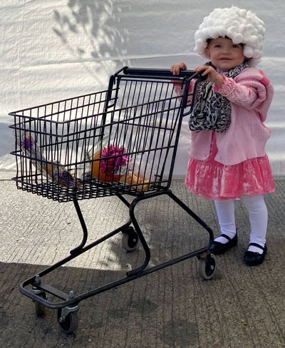 A cute little girl toddler dressed in a pink dress and coat pushing a miniature black shopping cart.