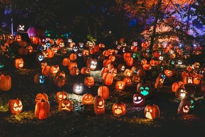 Tricks, Treats & Tales at the Library (during the Annual Bellaire Trick or Treating Event)