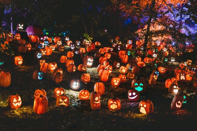 Tricks, Treats & Tales at the Library (during the Annual Bellaire Trick or Treating Event)