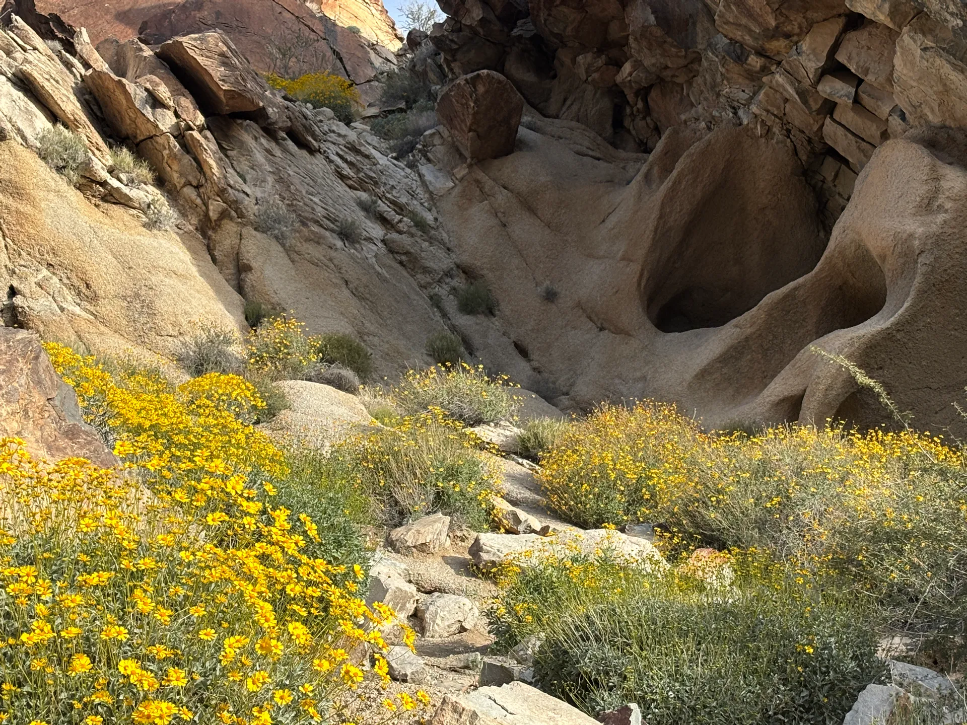 Easy Day Trips from Bullhead City: Grapevine Canyon
