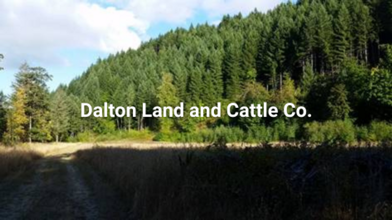 Dalton Land & Cattle Co, LLC