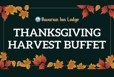 Join us at Bavarian Inn Lodge for our Thanksgiving Day Harvest Buffet!