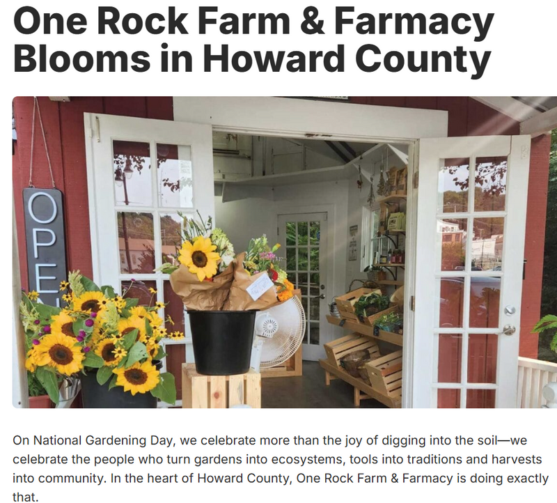 One Rock Farmacy