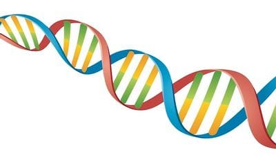 What Can DNA Really Tell You? Genealogy DNA basics