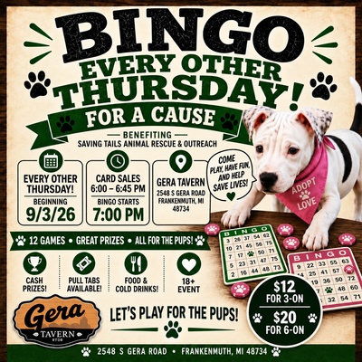 Bingo for a Cause
