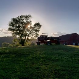 East Fork Farm