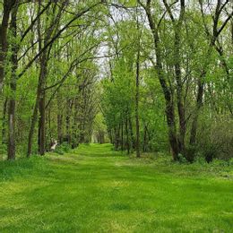 Jones County Conservation