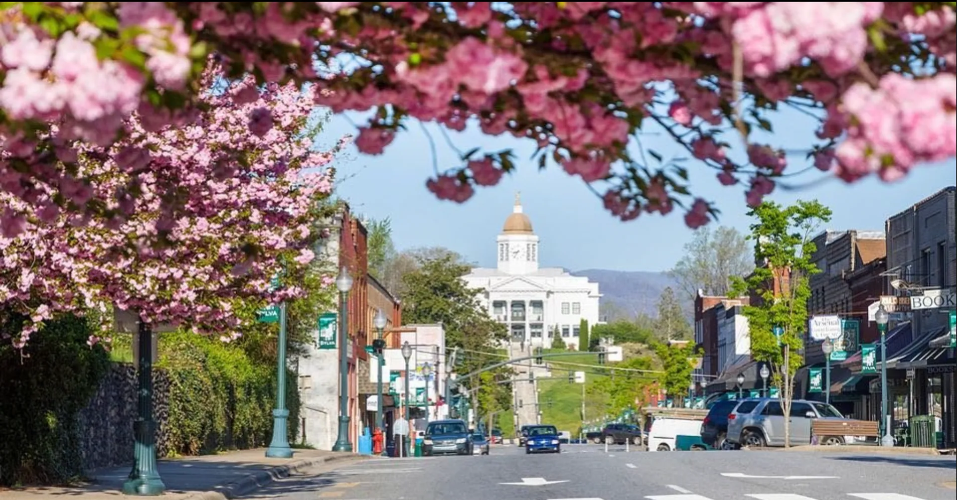 Main Street Sylva Association