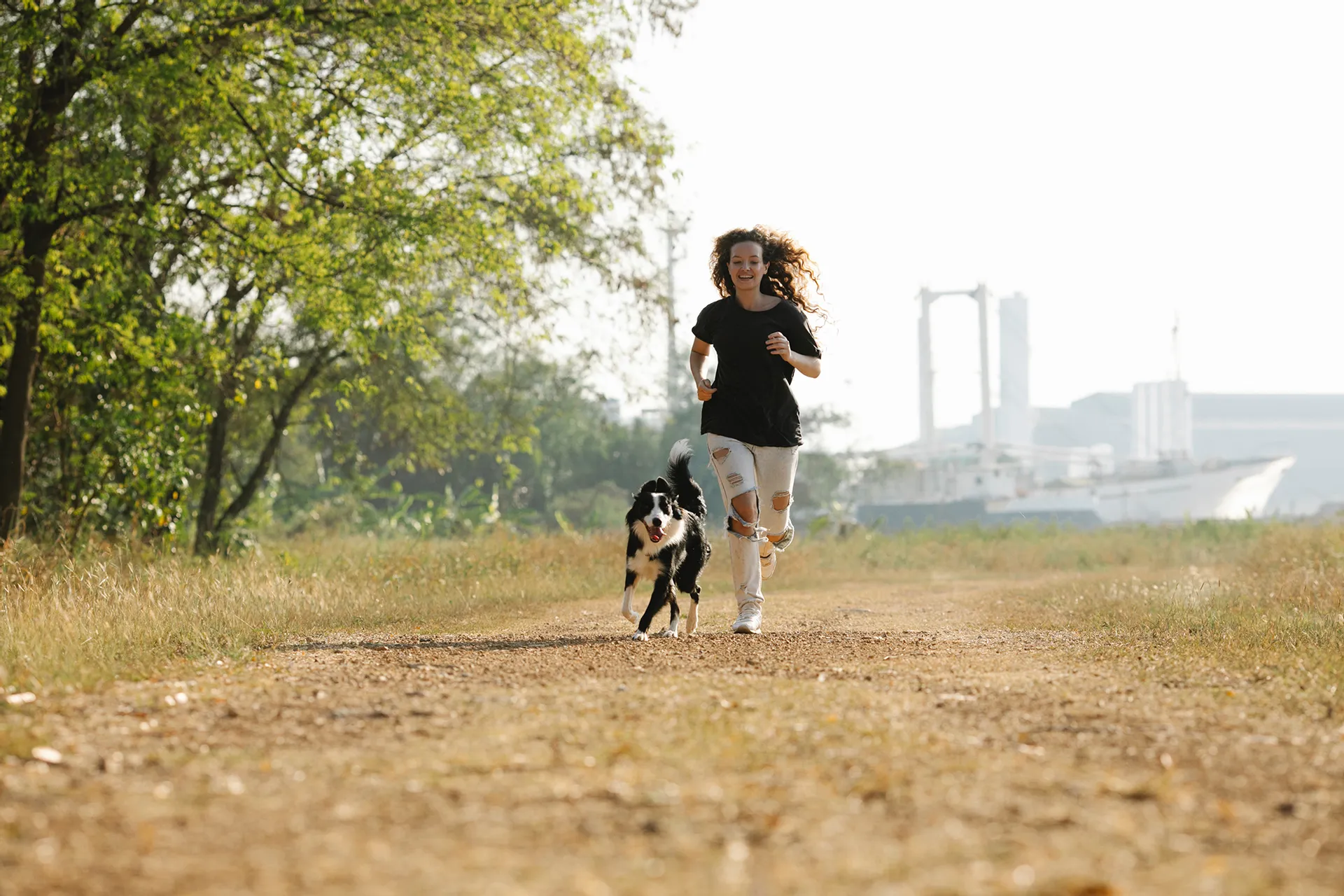 Celebrate Your Pup Pals this Summer in Downtown Roseville 