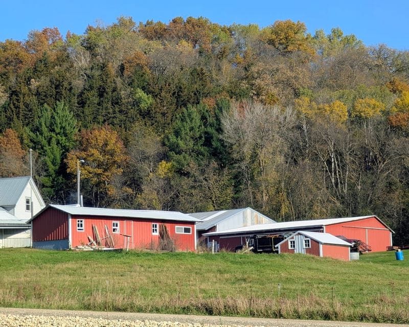 Red farm buildings sit beneath wooded bluffs with fall foliage in the Lanesboro area of Minnesota.
