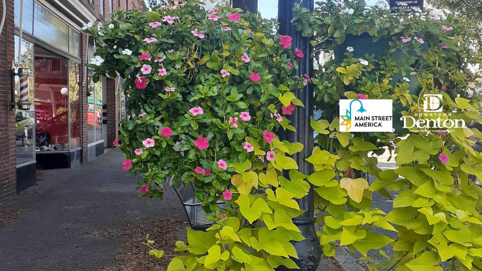 Make Denton Bloom! Bronze Level Sponsor Image